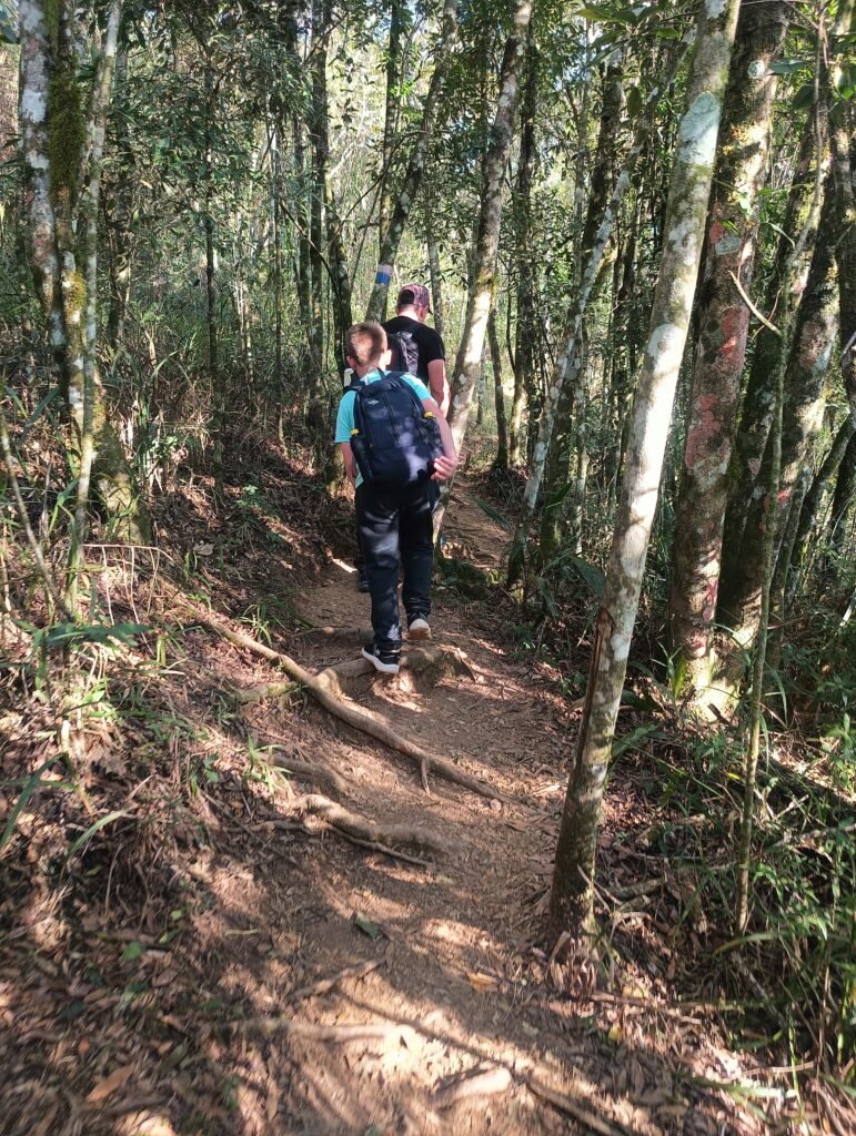 trilha-morro-da-cal-jun24